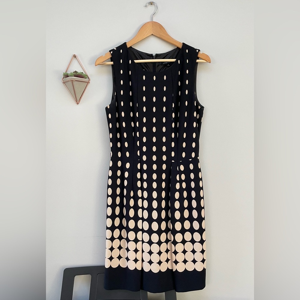 Tahari Polka Dot Dress
